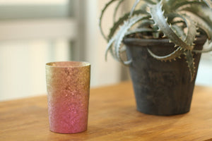 Horie Niigata Prefecture Tsubame Titanium Double Tumbler Kiln Creation 270Cc Light Gradation Pink Japan T09Km270Gp - YOYO JAPAN