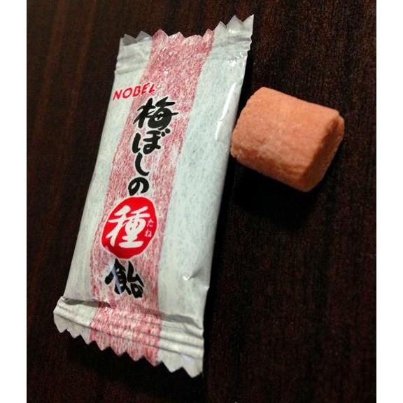 Nobel Umeboshi no Taneame Pickled Plum Seed Candy 30g - YOYO JAPAN