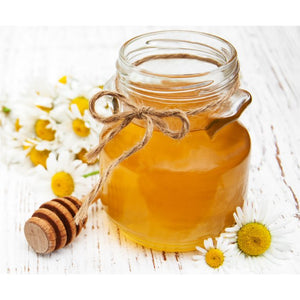 Octard Ex Lotion Royal Jelly & Honey Thick Moisturizing Lotion 200ml - YOYO JAPAN