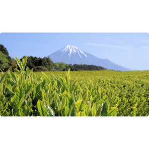 Oigawa Healing Zen Platinum Japanese Loose Leaf Green Tea 100g - YOYO JAPAN