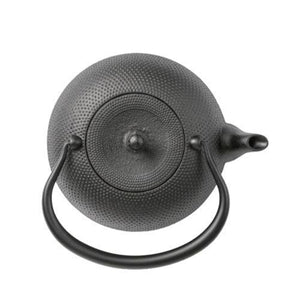 Oigen Nambu Iron Kettle Tetsubin Kangetsu Arare H-159S 1.2L - YOYO JAPAN