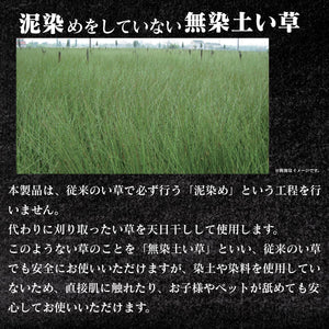 Ooshimaya Japanese Tatami Igusa 60X60Cm 2Cm Thickness Off-White Set Of 4 - YOYO JAPAN