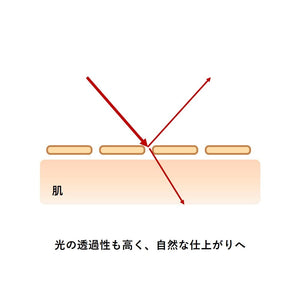 Orbis Natural Stick Concealer 2.Natural 3.2g - Pack of 1 - YOYO JAPAN