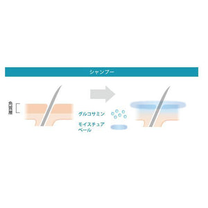 Milbon Aujua Gentle Aging Spa Shampoo Scalp Care Shampoo 500ml - YOYO JAPAN