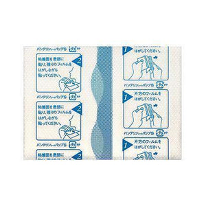 Kowa Vantelin Pap S Pain Relieving Patch 24 Sheets - YOYO JAPAN