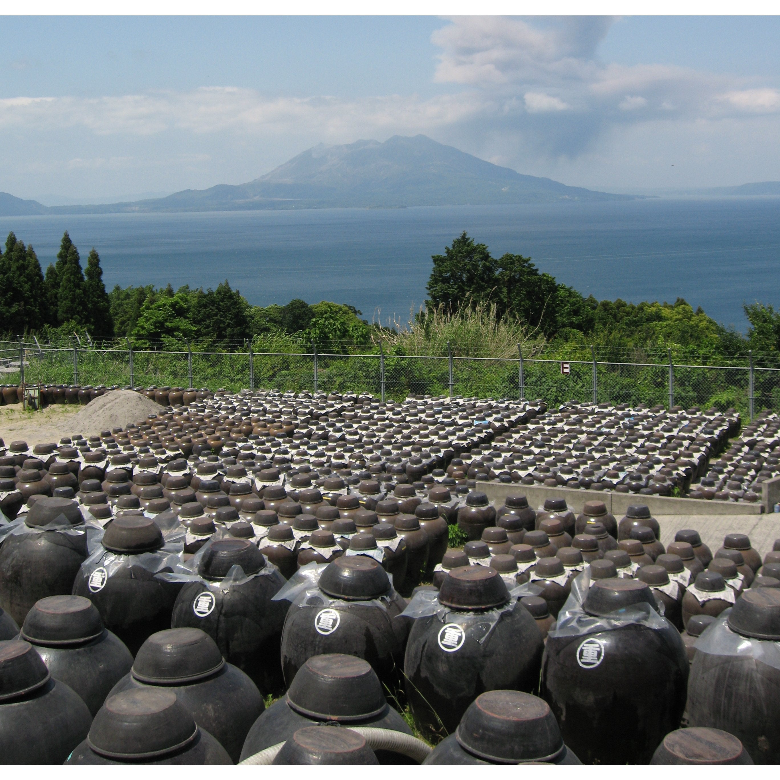 Marushige Black Vinegar 3+ Years Aged Premium Drinking Vinegar 185ml - YOYO JAPAN