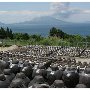 Marushige Shine Muscat Premium Drinking Vinegar 500ml - YOYO JAPAN