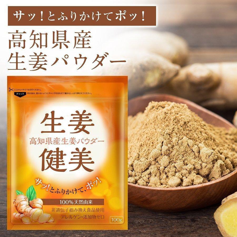 Shoga Kenbi Japanese Ground Ginger Powder 100g - YOYO JAPAN