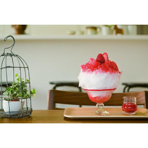 Recro Professional Kakigori Shaved Ice Maker (Snow Cone Machine) SI-8B - YOYO JAPAN