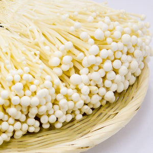 Nagano Cooked Nametake Mushroom Lightly Salted 180g - YOYO JAPAN