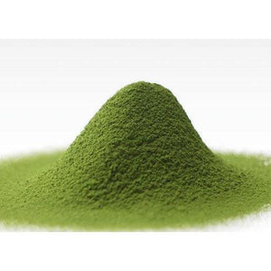 Shooken Nagasaki Matcha Flavor Castella Sponge Cake 1 Piece - YOYO JAPAN