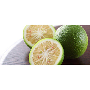 Fundokin Green Yuzu Kosho Sauce Spicy Citrus Seasoning Paste 50g - YOYO JAPAN