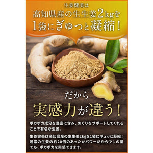 Shoga Kenbi Japanese Ground Ginger Powder 100g - YOYO JAPAN