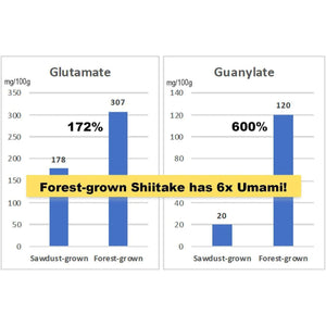 Sugimoto All-Purpose Organic Japanese Shiitake Mushroom Powder 40g - YOYO JAPAN