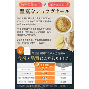 Shoga Kenbi Japanese Ground Ginger Powder 100g - YOYO JAPAN