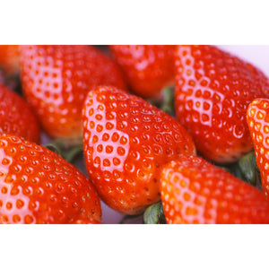 Marushige Migaki Strawberry Premium Drinking Vinegar 500ml - YOYO JAPAN