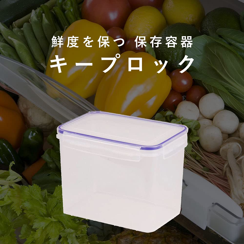 Pearl Metal Kinzoku Keep Lock Fresh Japan Storage Container Rectangular 3600Ml Hb-591 - YOYO JAPAN