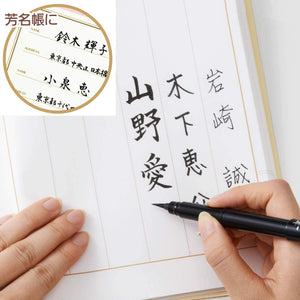 Pentel Portable Brush Pen with Refillable Ink - Perfect for Artists on the Go - YOYO JAPAN