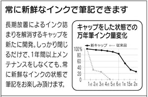 Platinum Fountain Pen Plaisir Fine Point Black Pgb-1000#1-2 Made In Japan - YOYO JAPAN