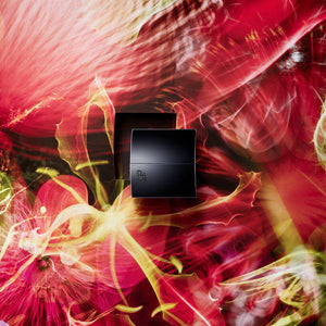 Pola BA Face Cream Premium Rich Moisturizer 30g - YOYO JAPAN