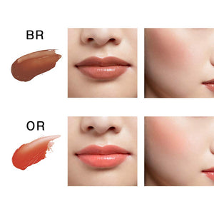 Pola B.a Colors Collected Color Stick Lip Color Blush Pi 1.6g - Japanese Lipstick And Blush - YOYO JAPAN