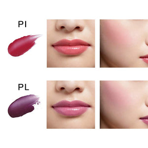 Pola B.a Colors Collected Color Stick Lip Color Blush Pi 1.6g - Japanese Lipstick And Blush - YOYO JAPAN