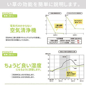 Ikehiko Corporation Japan Noah Easy Floor Mat & Pillow Set Brown (#7530390) 90X200Cm Mat & 40X20Cm Pillow - YOYO JAPAN