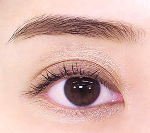 Lebron Revlon Colorstay Looks Book Palette 900 Nude Beige Eyeshadow 3.4G Japan - YOYO JAPAN