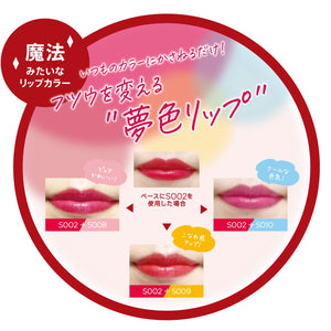 Rimmel Lasting Finish Oil Moist Tint S 008 Pink 3G - YOYO JAPAN