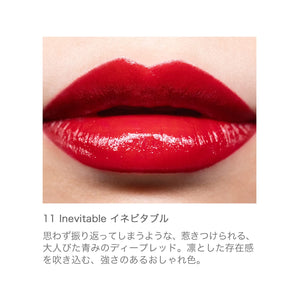 Rmk Vivid Lip Color 11 - Glossy & Moisture-Rich Highly Pigmented Lipstick - YOYO JAPAN
