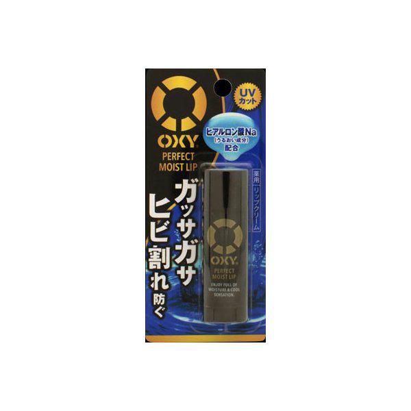 Rohto Oxy Perfect Moist 4.5g Lip Balm for Men - Advanced Lip Care - YOYO JAPAN