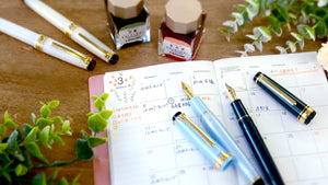 Sailor Fountain Pen Japan 4 Seasons Oribe Setsugetsu Soraha Manyo Extra Fine 11-1224-102 - YOYO JAPAN