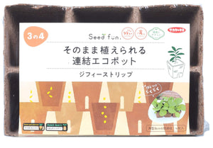 Sakata Seeds Eco Pot Plant As Is Jiffy Strip 8Cm 6/4Pcs Home Garden Gardening Supplies Japan - YOYO JAPAN