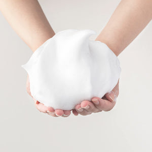 Sana Nameraka Honpo Soy Milk Isoflavone Foaming Cleanser for Dry Skin 150g - YOYO JAPAN