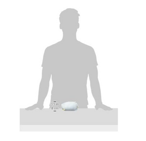 SAN-X Plush Doll Sumikko Gurashi Super Mochi Mochi Penguin Hommono Tjn - YOYO JAPAN