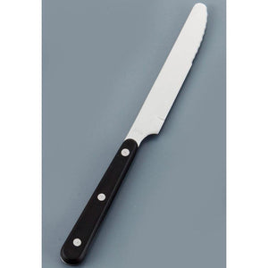 Sekikanetsugu Japanese Steak Knife ST-500 - YOYO JAPAN