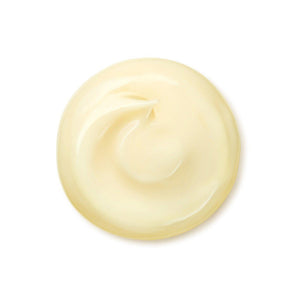 Shiseido Benefiance Wrinkle Smoothing Cream Enriched 50g - YOYO JAPAN