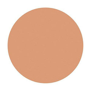 Shiseido Spots Cover Foundation Base Color 20g - YOYO JAPAN