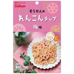 Sokan Ume Renkon Chips Japanese Plum Flavored Lotus Root Chips 18g (Pack of 6) - YOYO JAPAN