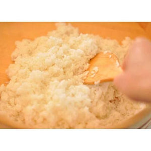 Tamanoi Sushi Noko Rice Vinegar Powder for Sushi Rice 75g - YOYO JAPAN