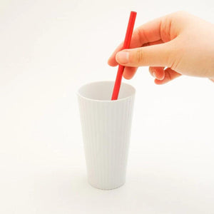 Todai Aluminum Reusable Straw with Cleansing Brush - YOYO JAPAN