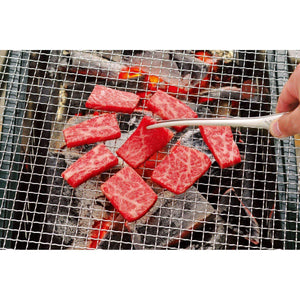 Todai Stainless Steel Yakiniku BBQ Clever Tongs 240mm - YOYO JAPAN