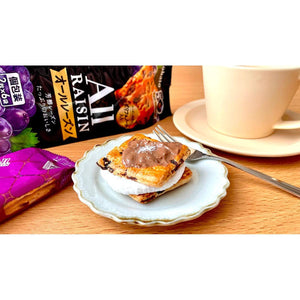 Tohato All Raisin Old Fashioned Raisin Cookies 12 Pieces - YOYO JAPAN