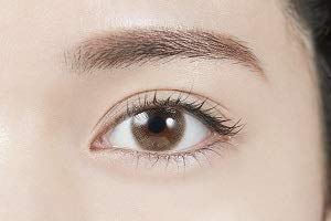 Topaz Topards One Day Opal -5.00 10 Pieces 3 Boxes Japan - YOYO JAPAN