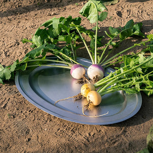 Aoyoshi Japan Vintage Inox Stainless Steel Oval Plate 268Mm - YOYO JAPAN