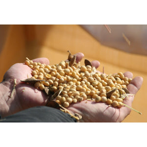 Adachi Naturally Brewed Organic Miso Paste 450g