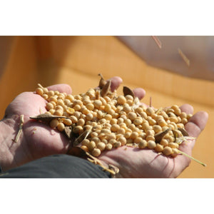 Adachi Whole Bean Koikuchi Shoyu Japanese Dark Soy Sauce 360ml