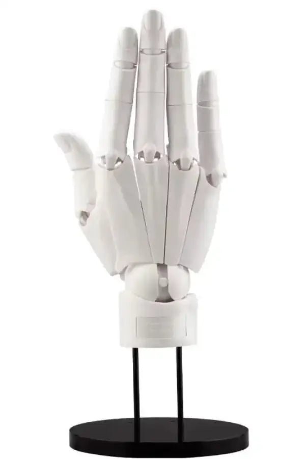 Artist Support Item Hand Model/R - White -