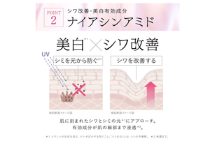 ASTALIFT 22 Autumn Release, Astalift the Serum Multi Tune (40ml)