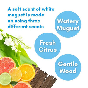 Biore UV Aqua Rich Watery Essence SPF50+/PA++++ 70ml